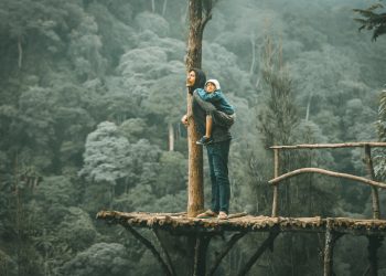 A Primeira é Especial